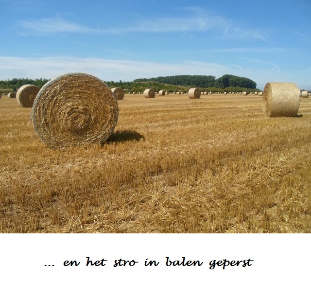 Fietsreis Vlaanderen