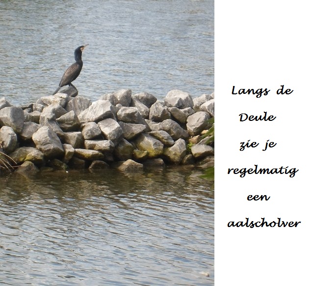 Fietsreis Vlaanderen