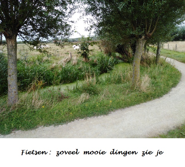 Fietsreis Vlaanderen