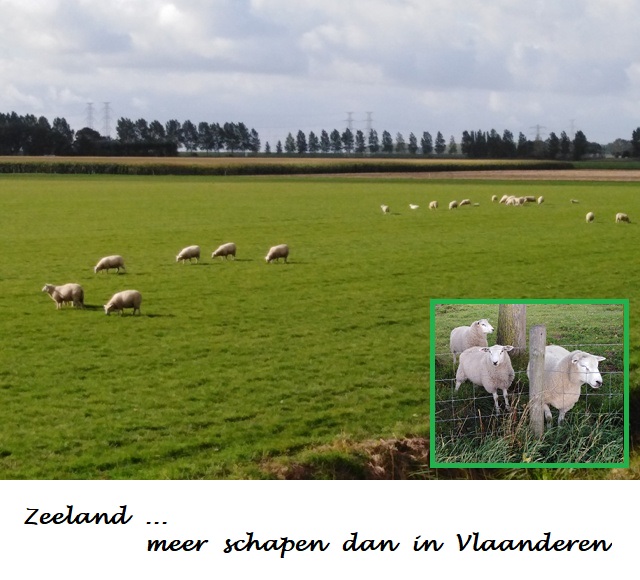 Fietsreis Vlaanderen