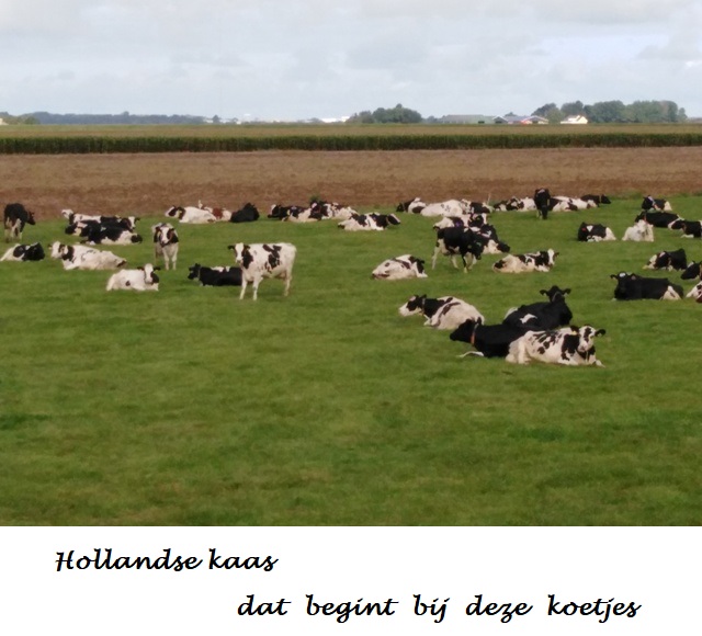 Fietsreis Vlaanderen