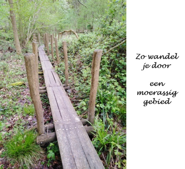 Muziekbos