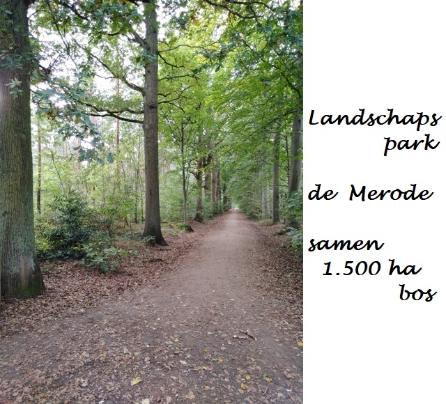Westerlo