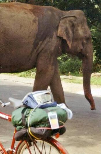 Fietsvakantie - SRI LANKA - Fietsreis